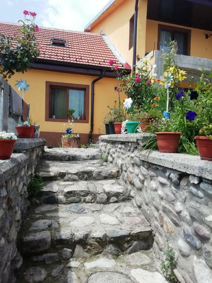 Apartamento Casa Darius Orşova Exterior foto
